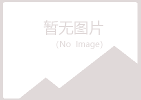 上海夏岚公益组织有限公司